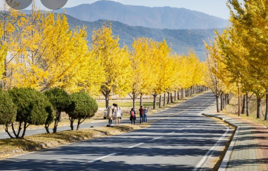 가을에 꼭 가봐야할 경주여행 BEST 5