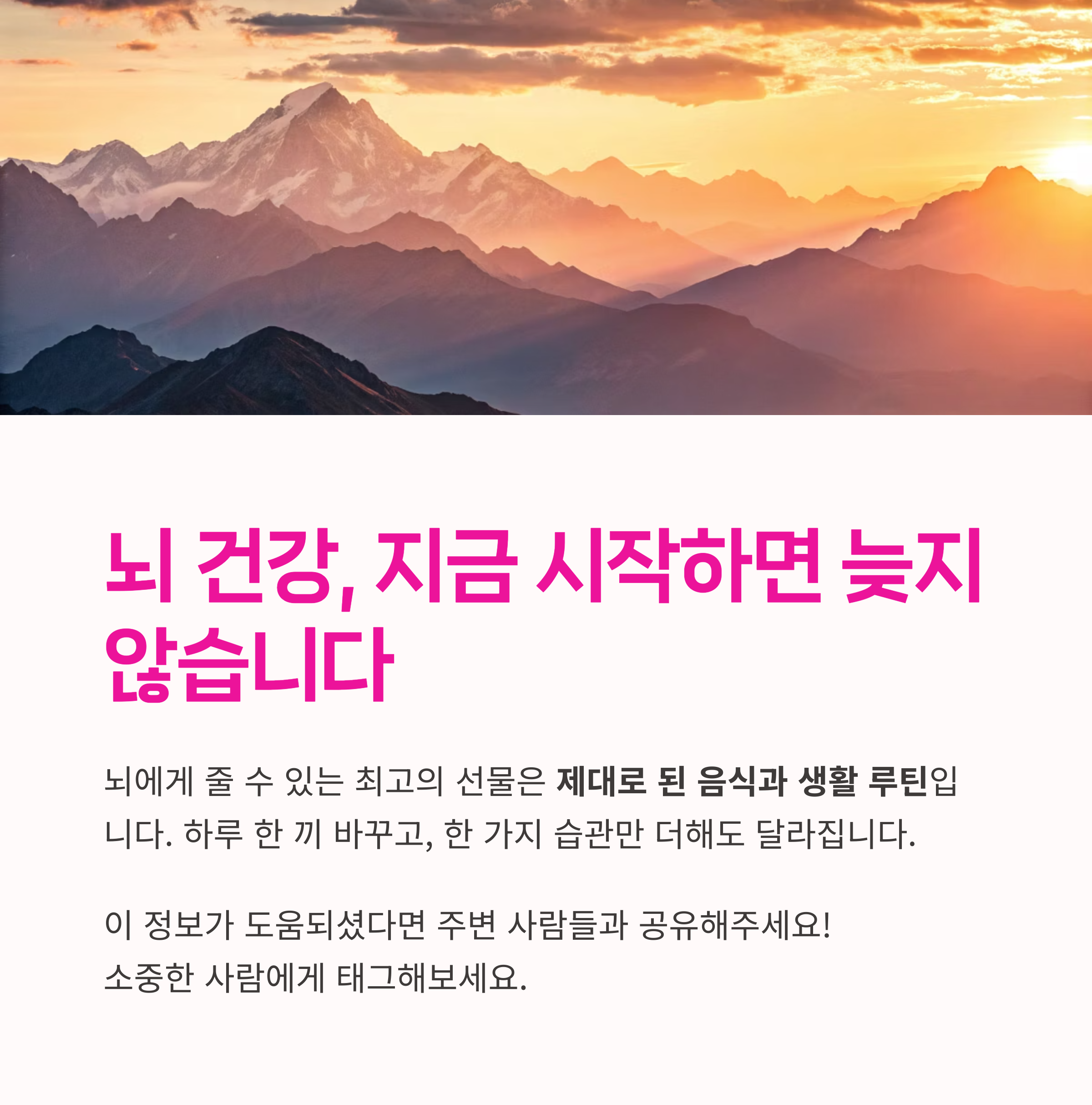 뇌건강 지금시작