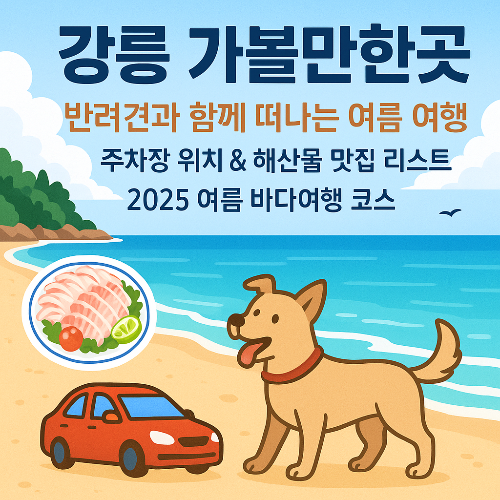 강릉, 반려견과 여름 바다 즐기기 좋은 곳! 산책코스·주차장·맛집까지 총정리