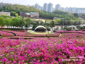 군포 가볼만한곳 베스트10 현지인 추천 필수코스_18
