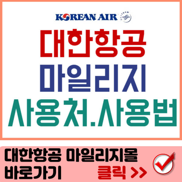 대한항공 마일리지 사용처 썸네일