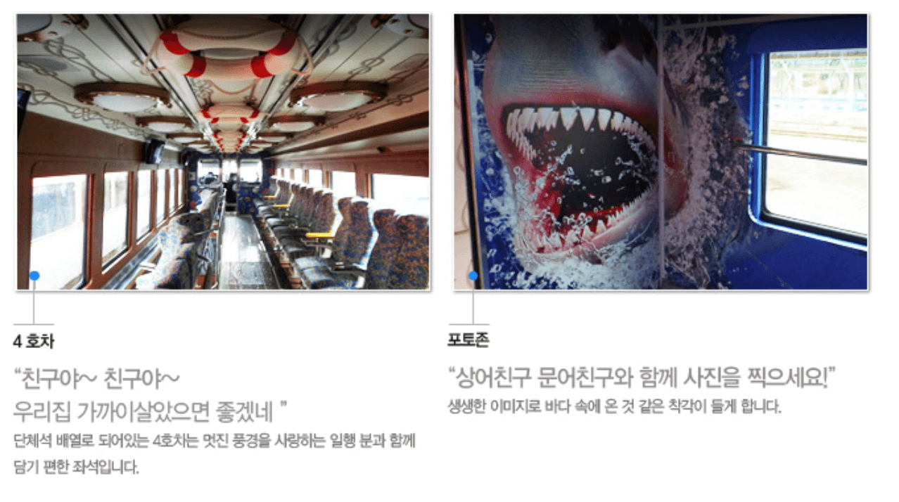 바다열차 편성정보