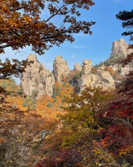 가을에 꼭 가야하는 단풍이 유명한곳 BEST 5곳
