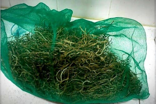 고구마순나물-만들기-재료둔비-건고구만순