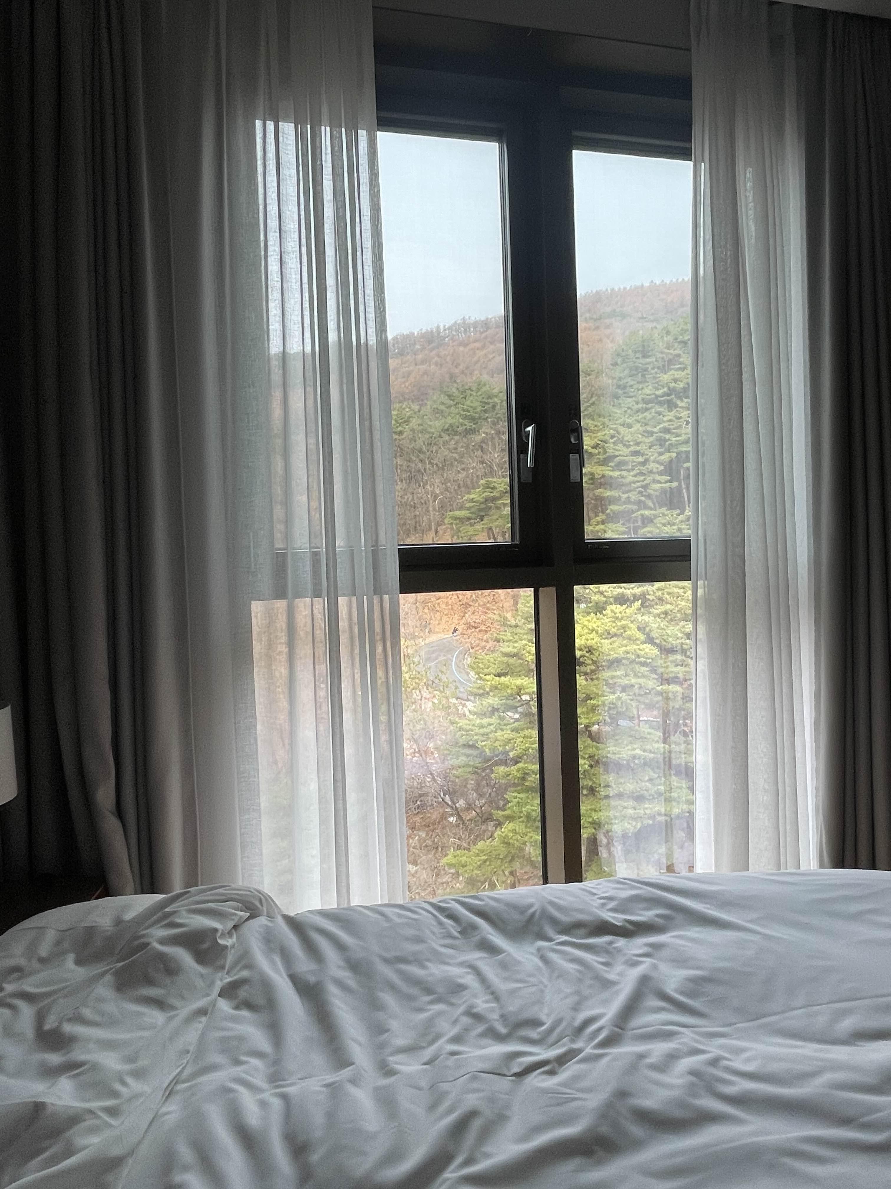 레스트리 리솜 바깥 뷰