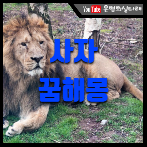 썸네일 사진