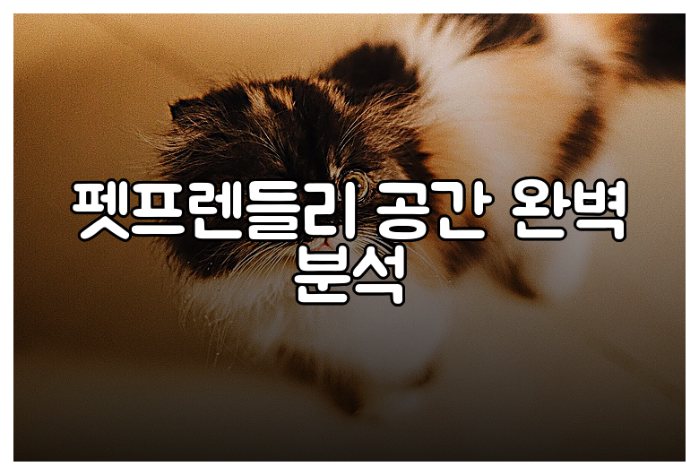 펫프렌들리 공간 완벽 분석