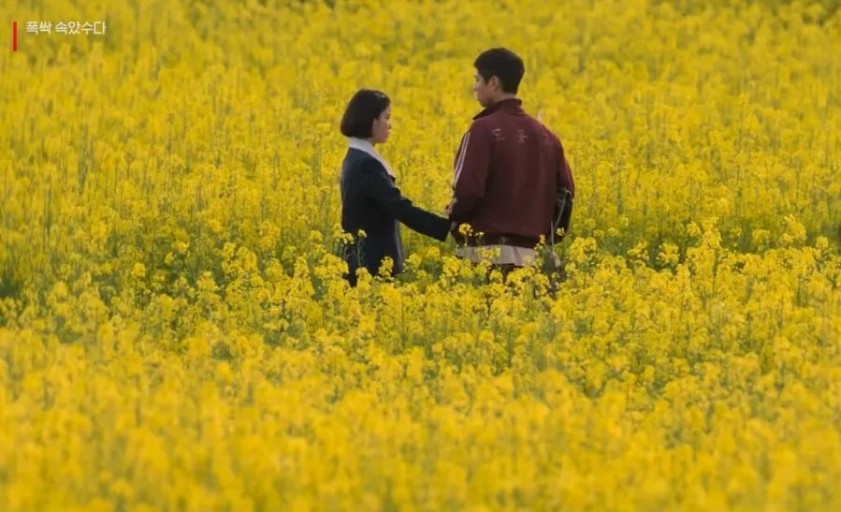 유채꽃에서 아이유 박보검