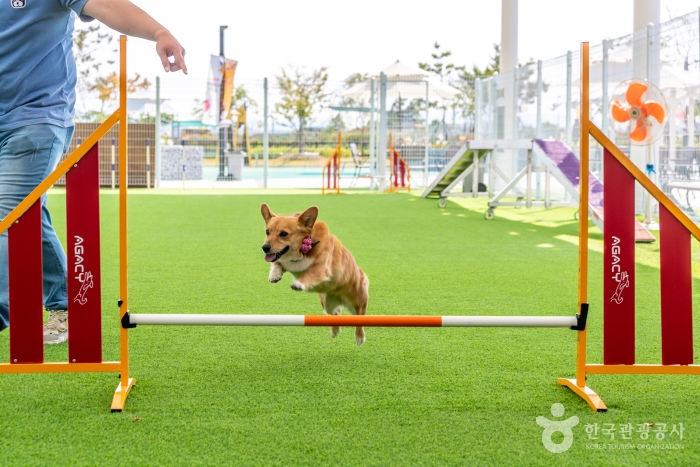 의성 가볼만한곳 베스트10