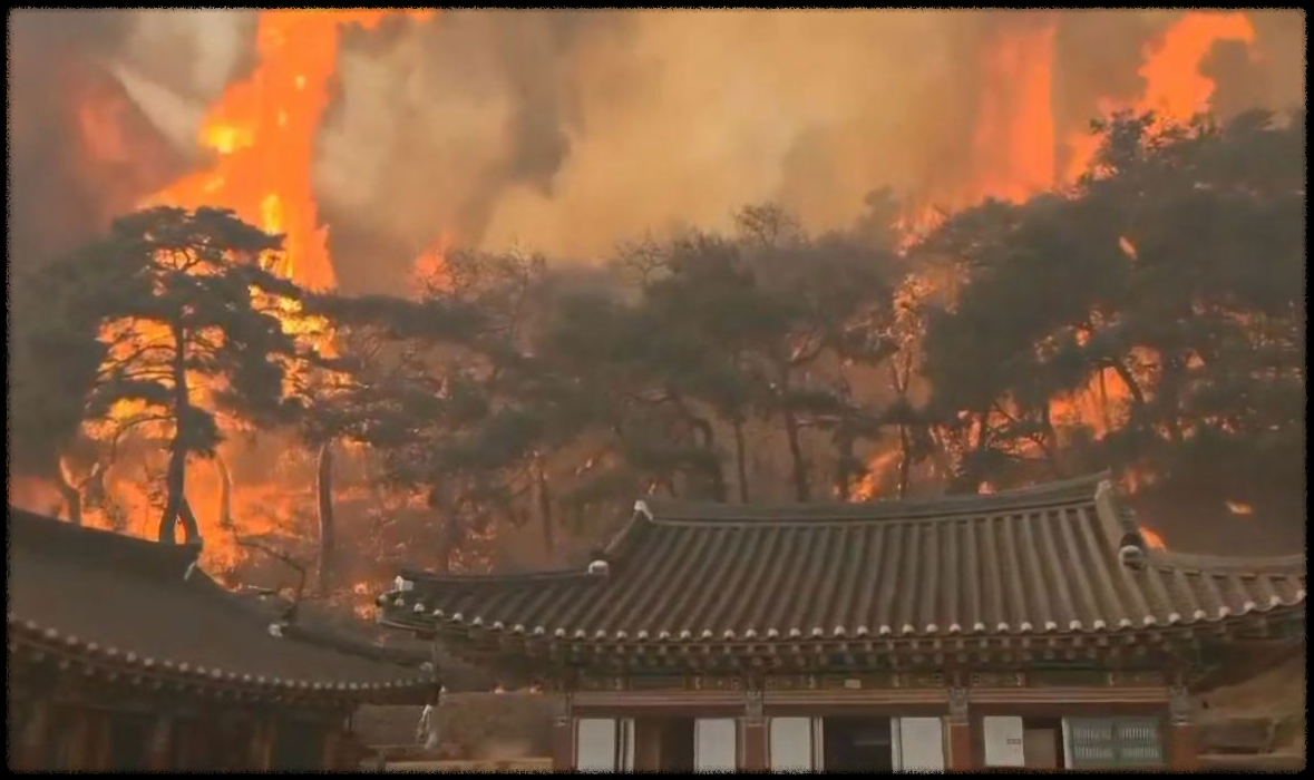 특별재난지역 관련 사진