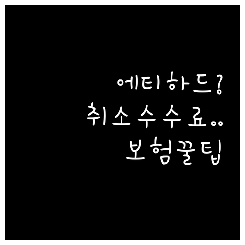 에티하드 항공 취소 수수료, 여행자 ..