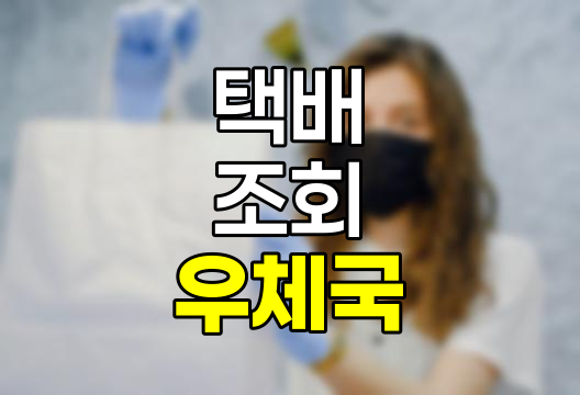 우체국 택배 조회 방법 상세 안내, 실시간 배송 및 운송장 번호 분실 시 대처법