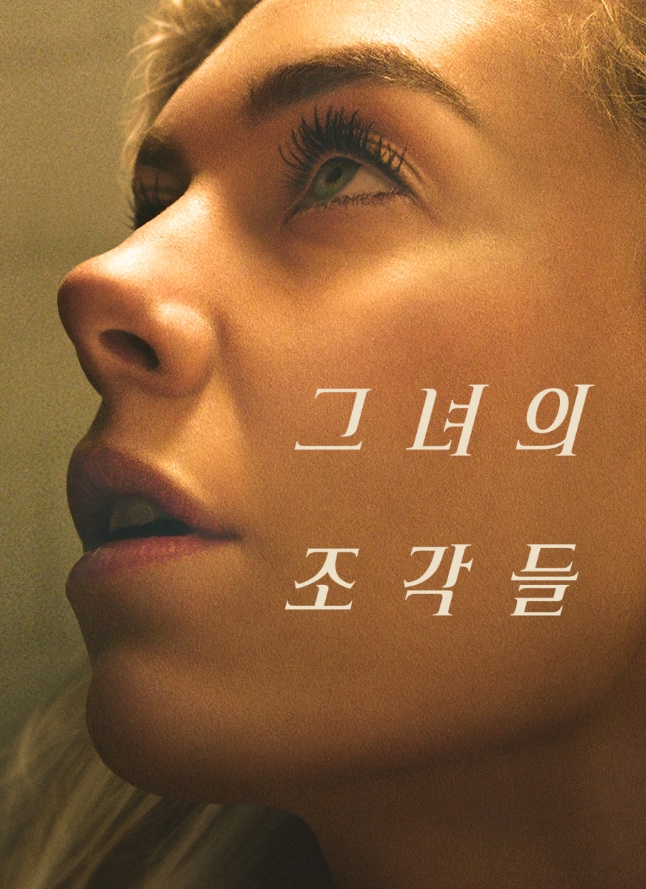 영화 그녀의 조각들 관련 포스터