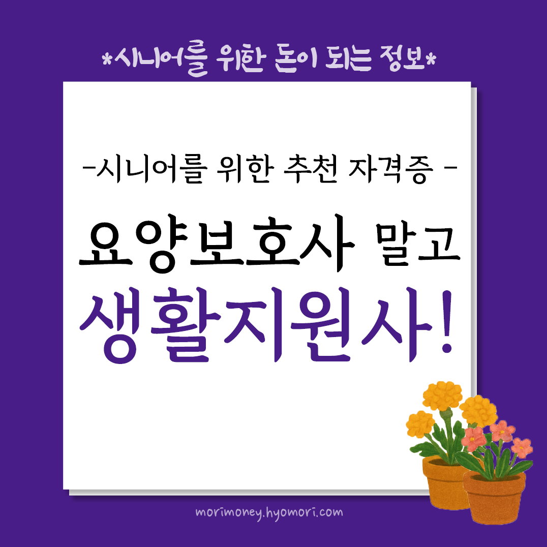 시니어를 위한 추천 자격증 - 요양보호사 말고 생활지원사!