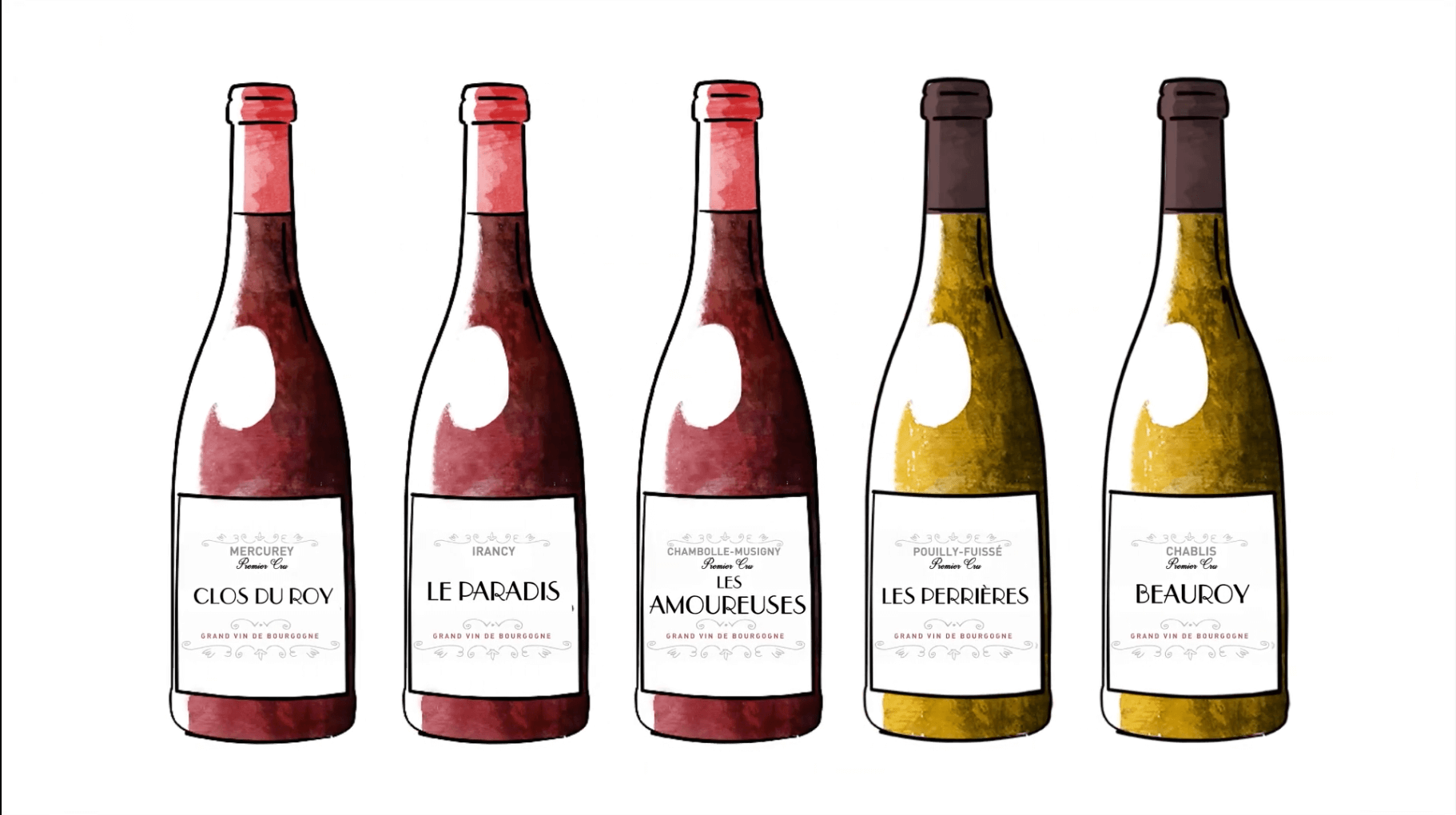 끌리마 이름을 가진 와인