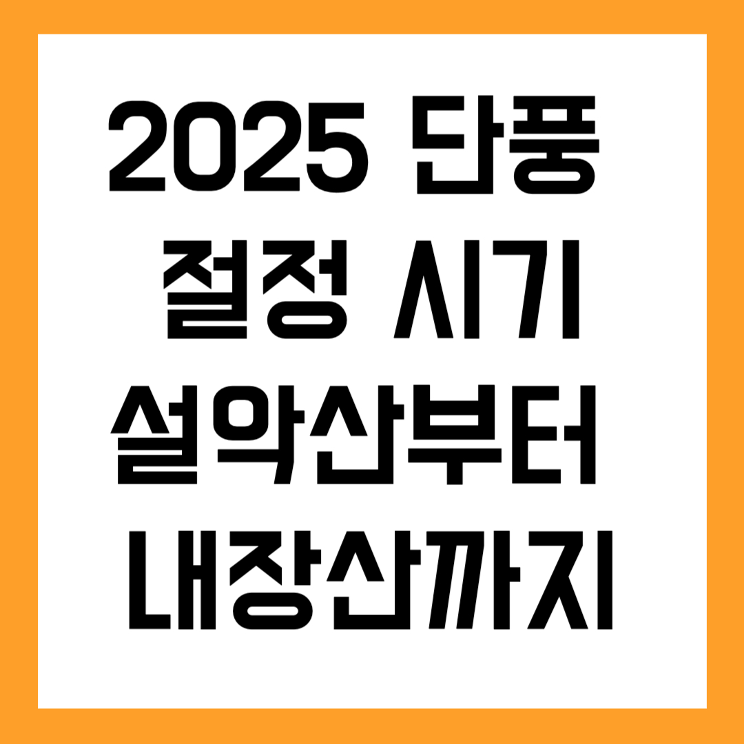 설악산부터 내장산까지｜2025 단풍 절정 시기