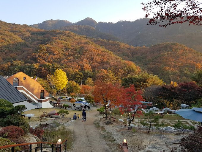 제천 텍사스 바베큐집 '카우보이그릴'