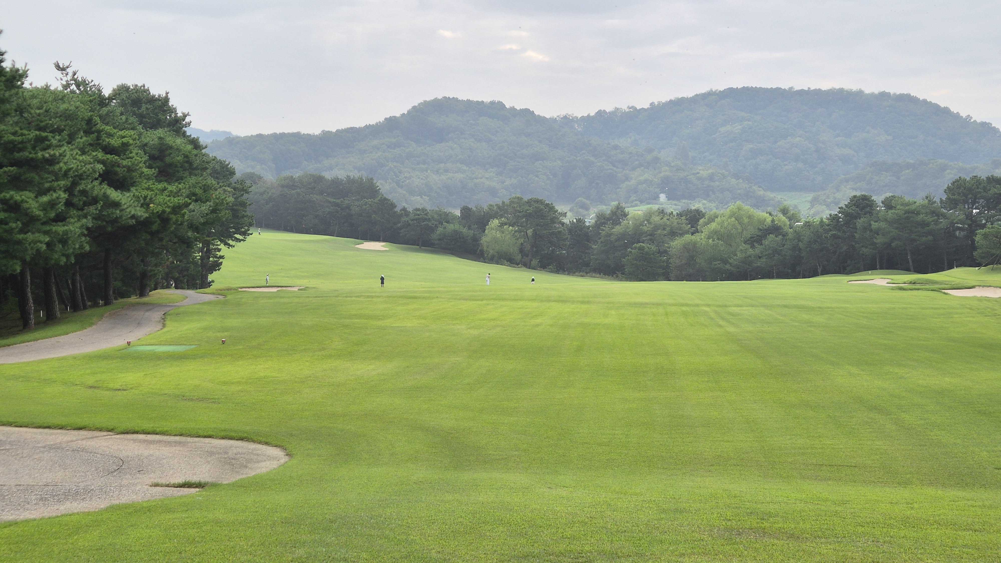 도고cc 코스 사진 및 공략 정보