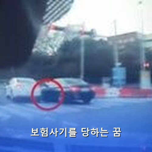 일부러-접촉사고를-내서-선량한-초보운전자와-보험사를-농락하는-보험사기범