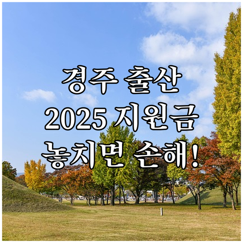 2025년 경주시 출산 지원: 놓치면..