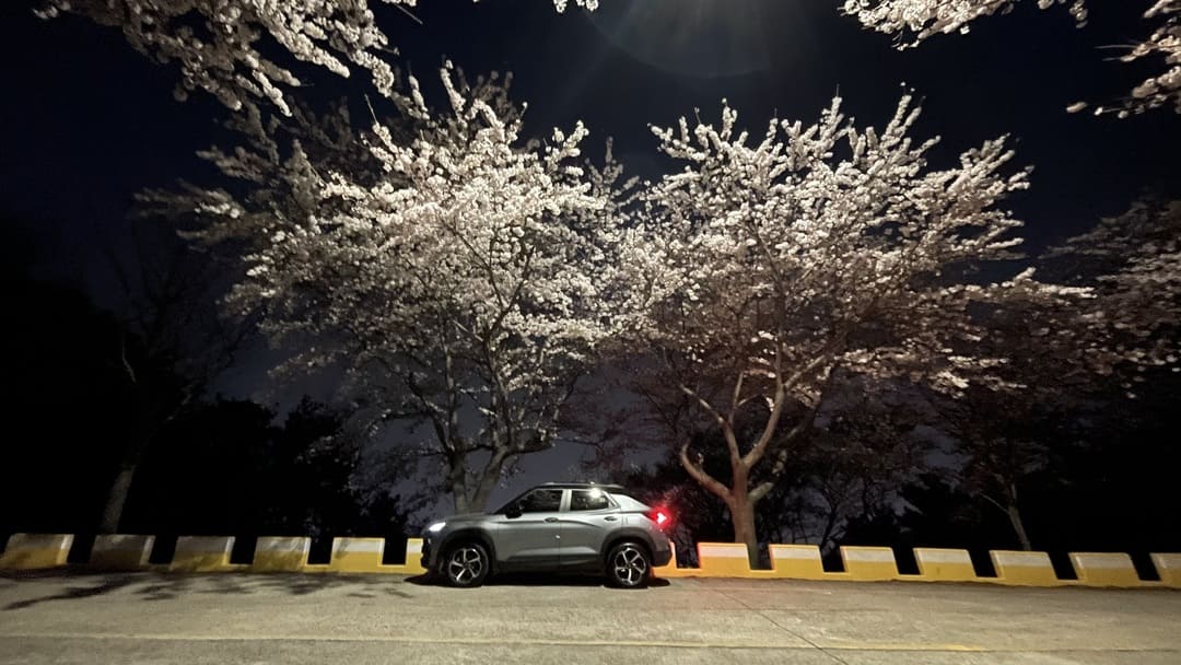 혼자 떠난 여행