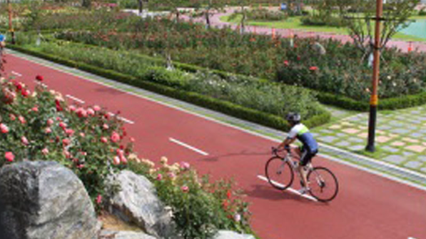 삼척 장미축제 일정