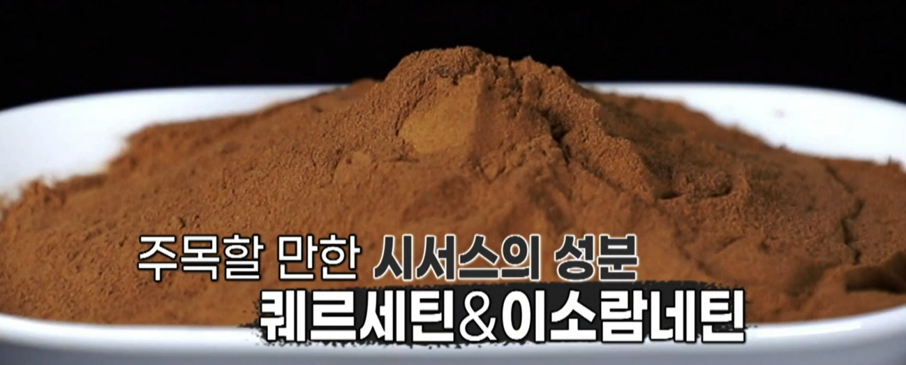 시서스 효능