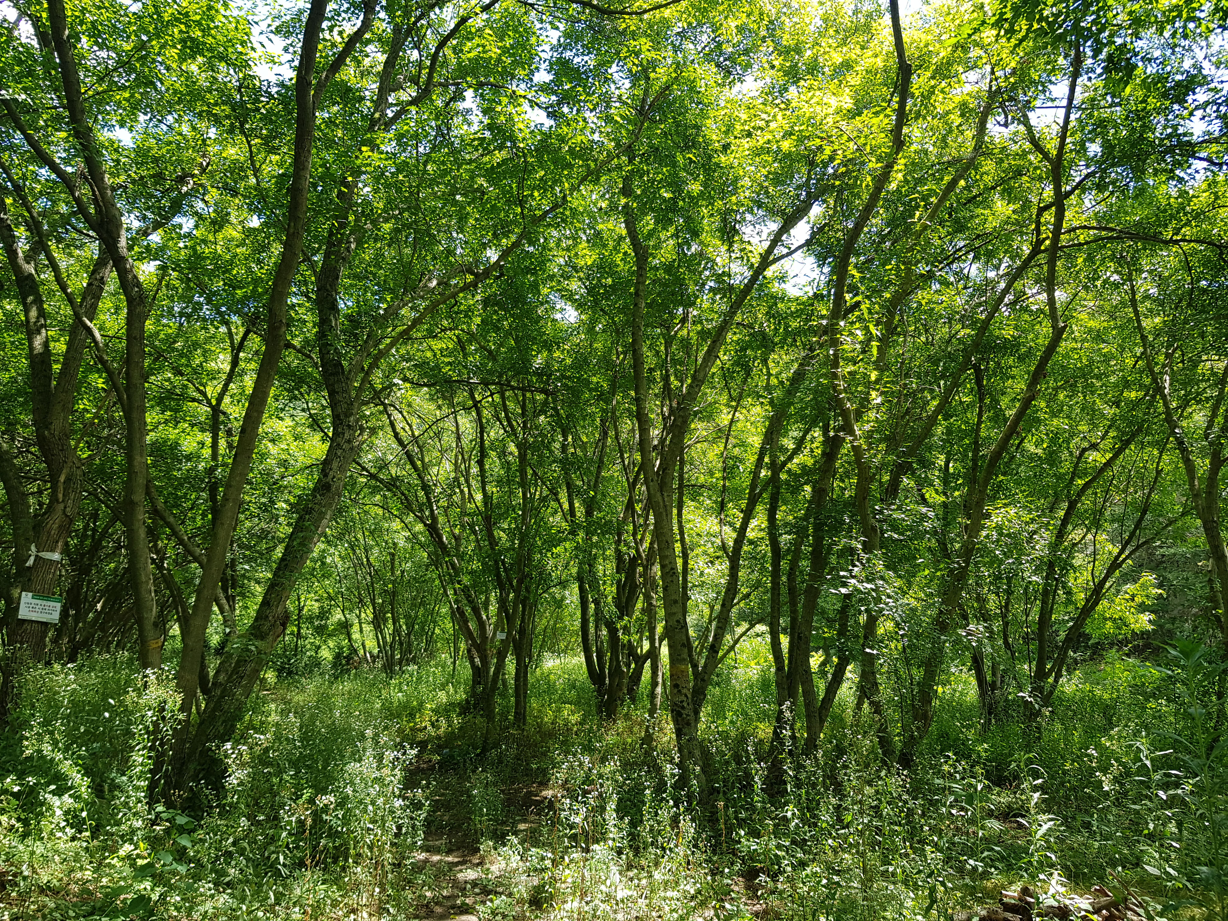 토지 투자에서 현장 답사가 중요한 이유와 체크 포인트