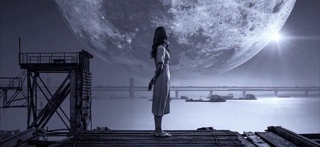 로봇이 대체할 직업 vs 인간이 필수적인 직업: 차이점 분석
