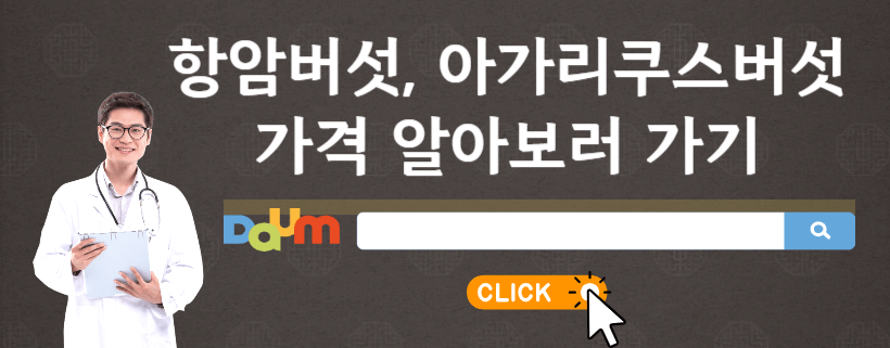 아가리쿠스버섯