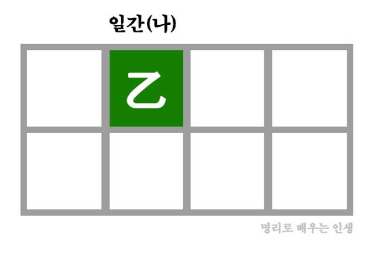 을목일간의 본질적 성향과 강점, 약점과 주의할 점, 성장 전략과 운의 흐름