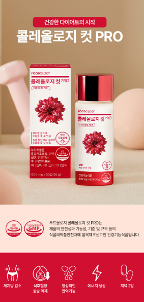 빨간통 다이어트