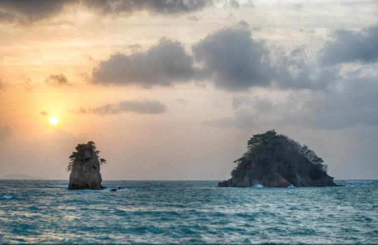 태안 튤립축제 기간, 입장료, 여행코스, 맛집 총정리
