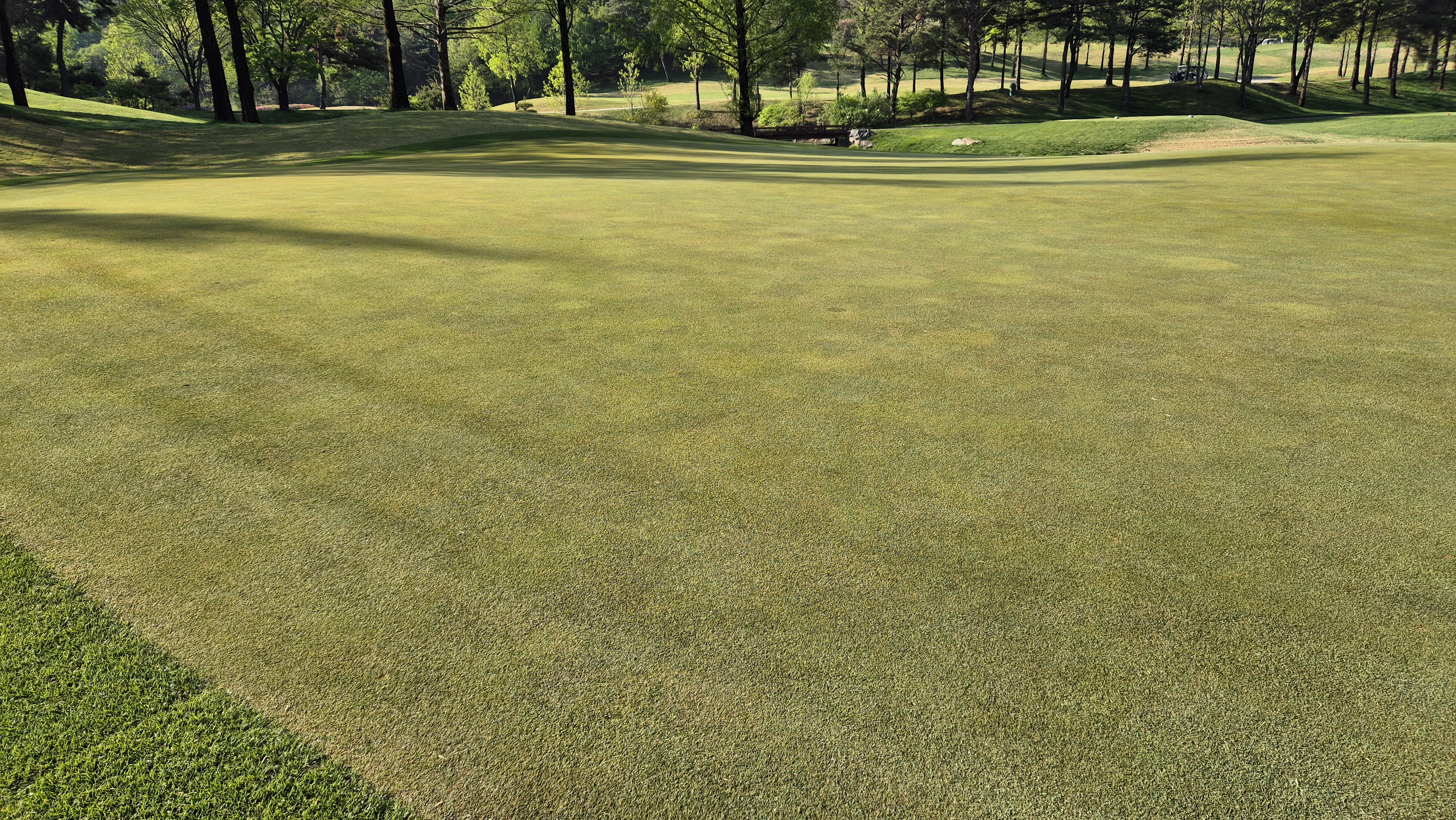 마에스트로cc 라운드 후기