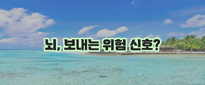 치매 초기증상 확인은 지금 바로 해야 합니다!