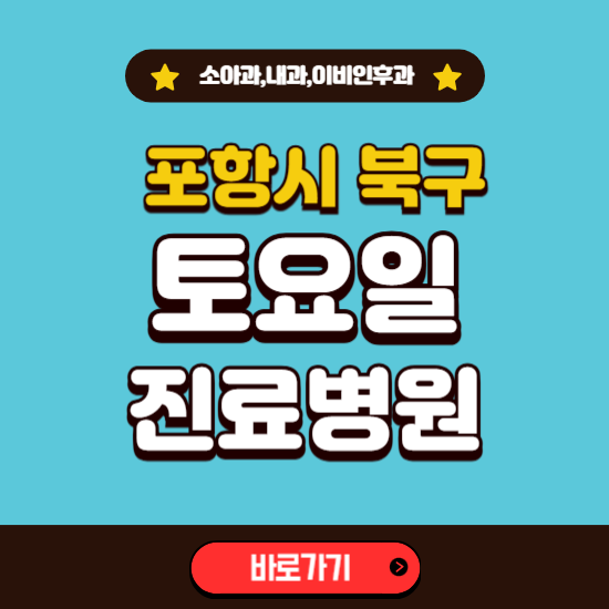 포항시 북구 토요일 진료 병원 찾기 ❘ 주말 문여는 소아과, 내과, 이비인후과 리스트