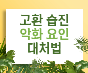 고환 습진 악화 요인 파악하기: 가려움을 더 심하게 만드는 것들은 무엇일까?