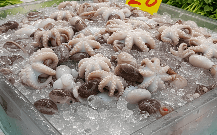 주꾸미손질법, 주꾸미요리, 주꾸미볶음레시피, 주꾸미효능, 주꾸미양념, 주꾸미볶음, 주꾸미낚시, 주꾸미보관법, 주꾸미손질동영상, 주꾸미손질팁