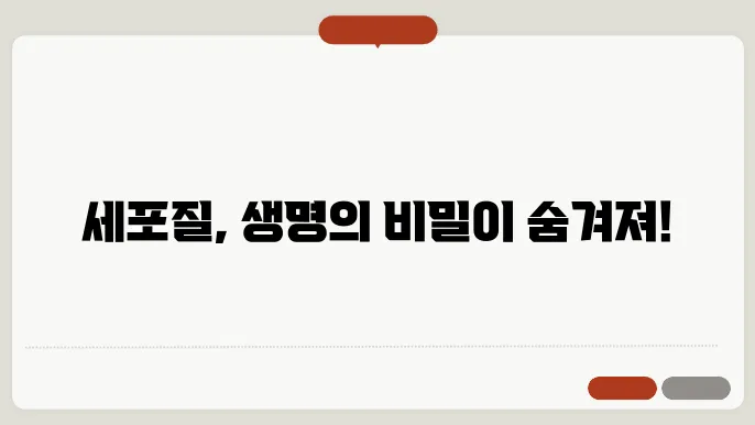세포질
