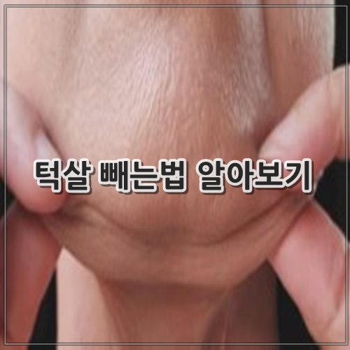 턱살 빼는법