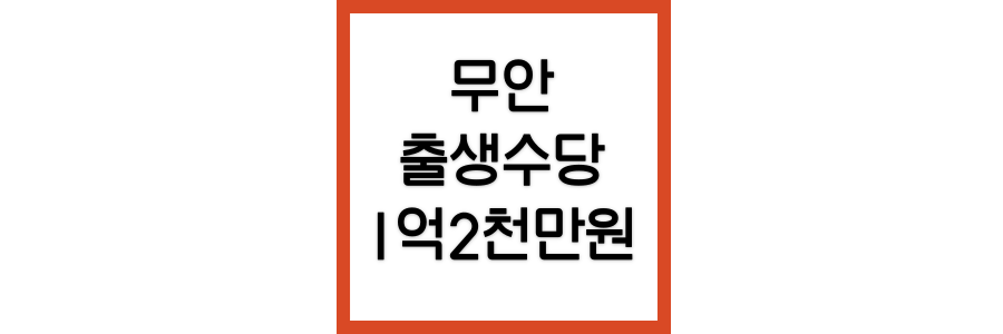 무안-출생수당
