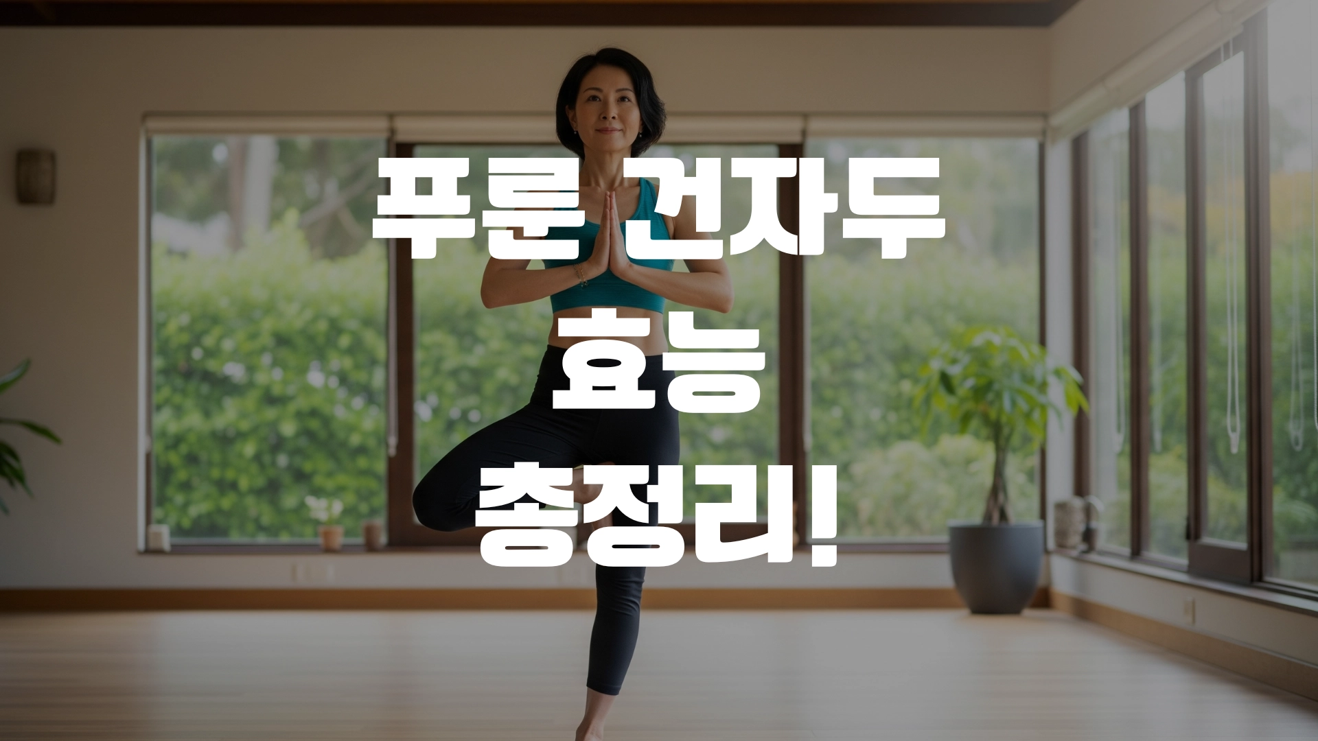 푸룬 건자두 효능 총정리! 포스팅 섬네일
