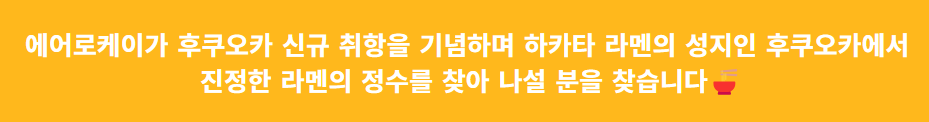 에어로케이 시티 에디터