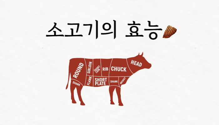 소고기의-효능-썸네일