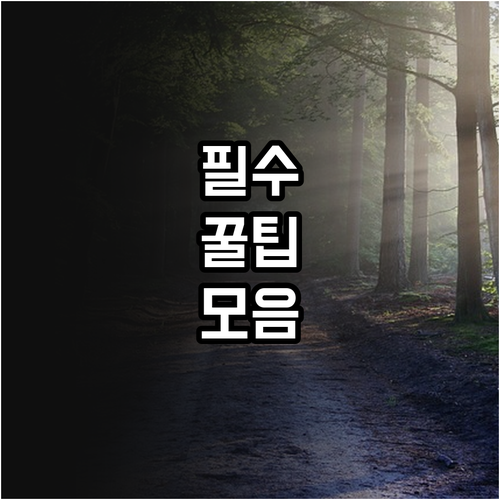 장애인 고용 안정 2025 근로지원비..