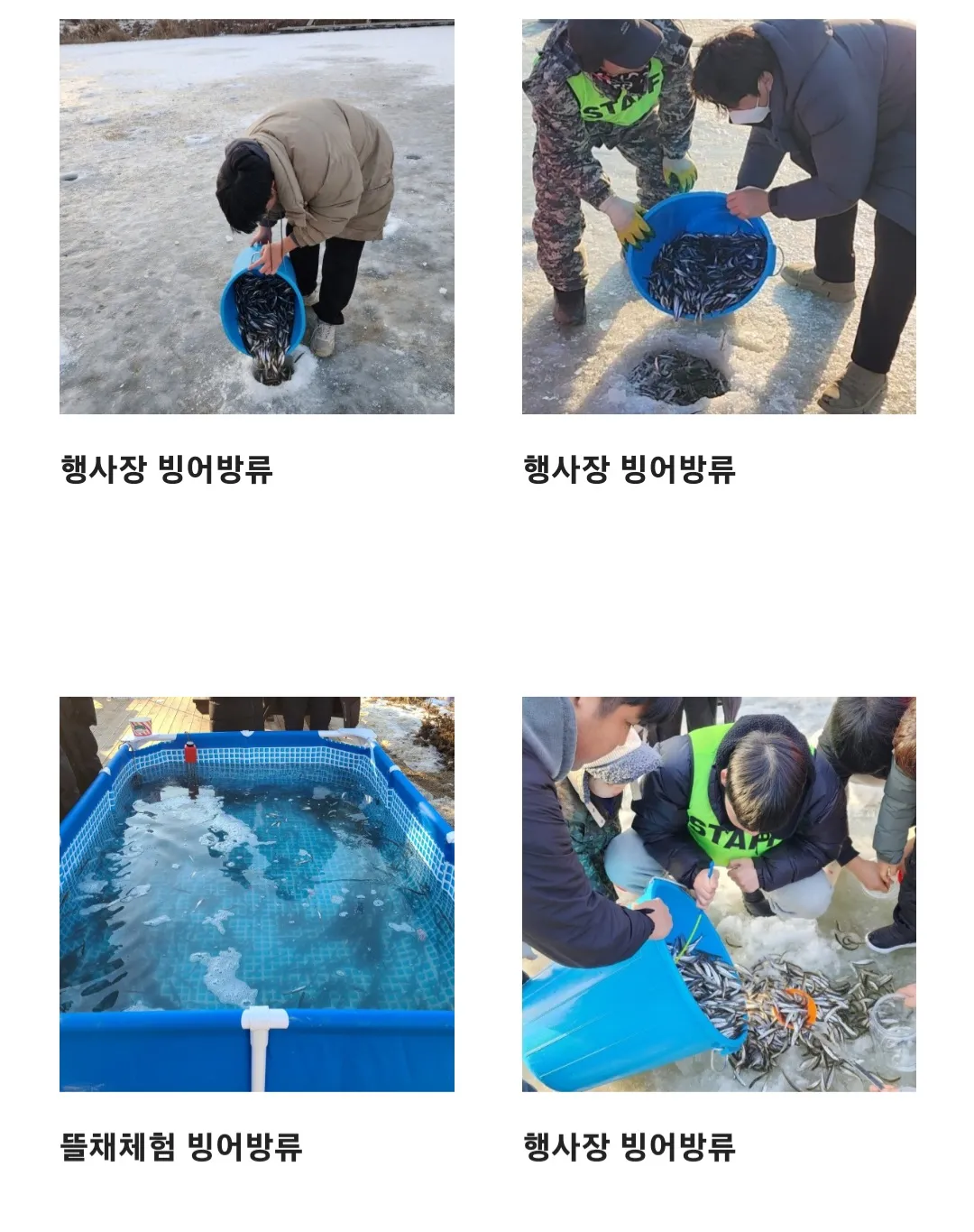 양평 산수유마을 빙어축제 사진
