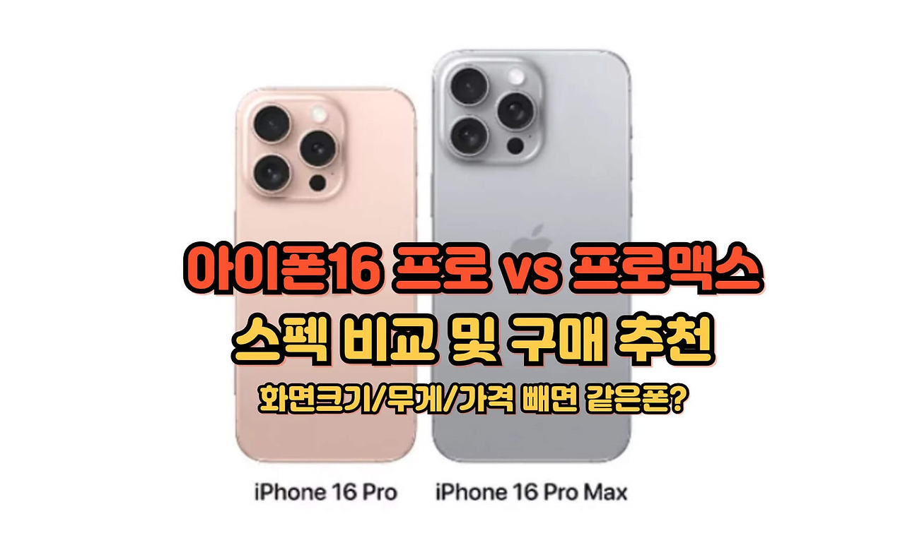 아이폰 16 프로 VS 프로맥스