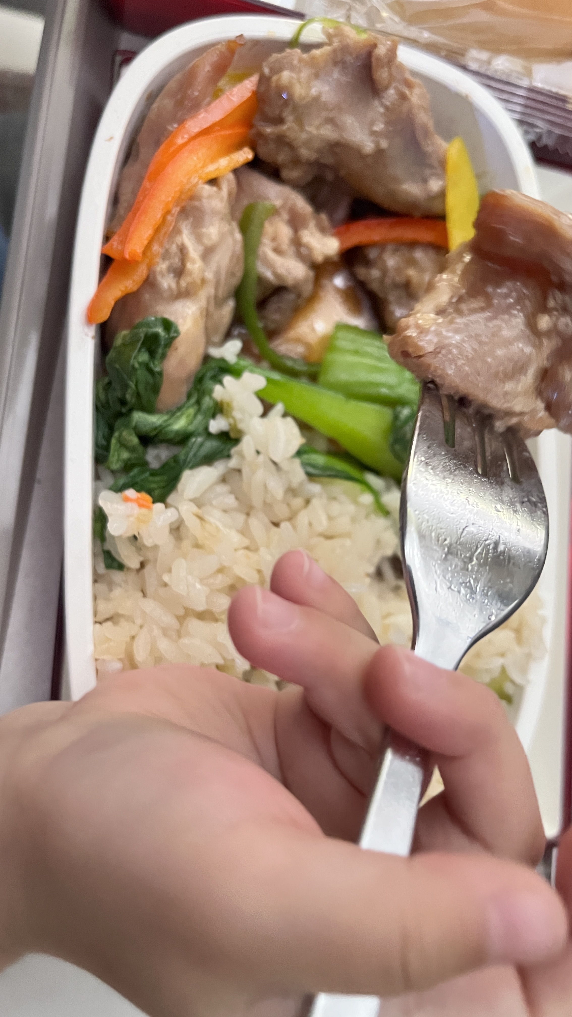 아시아나항공 기내식
기내식 닭고기덮밥