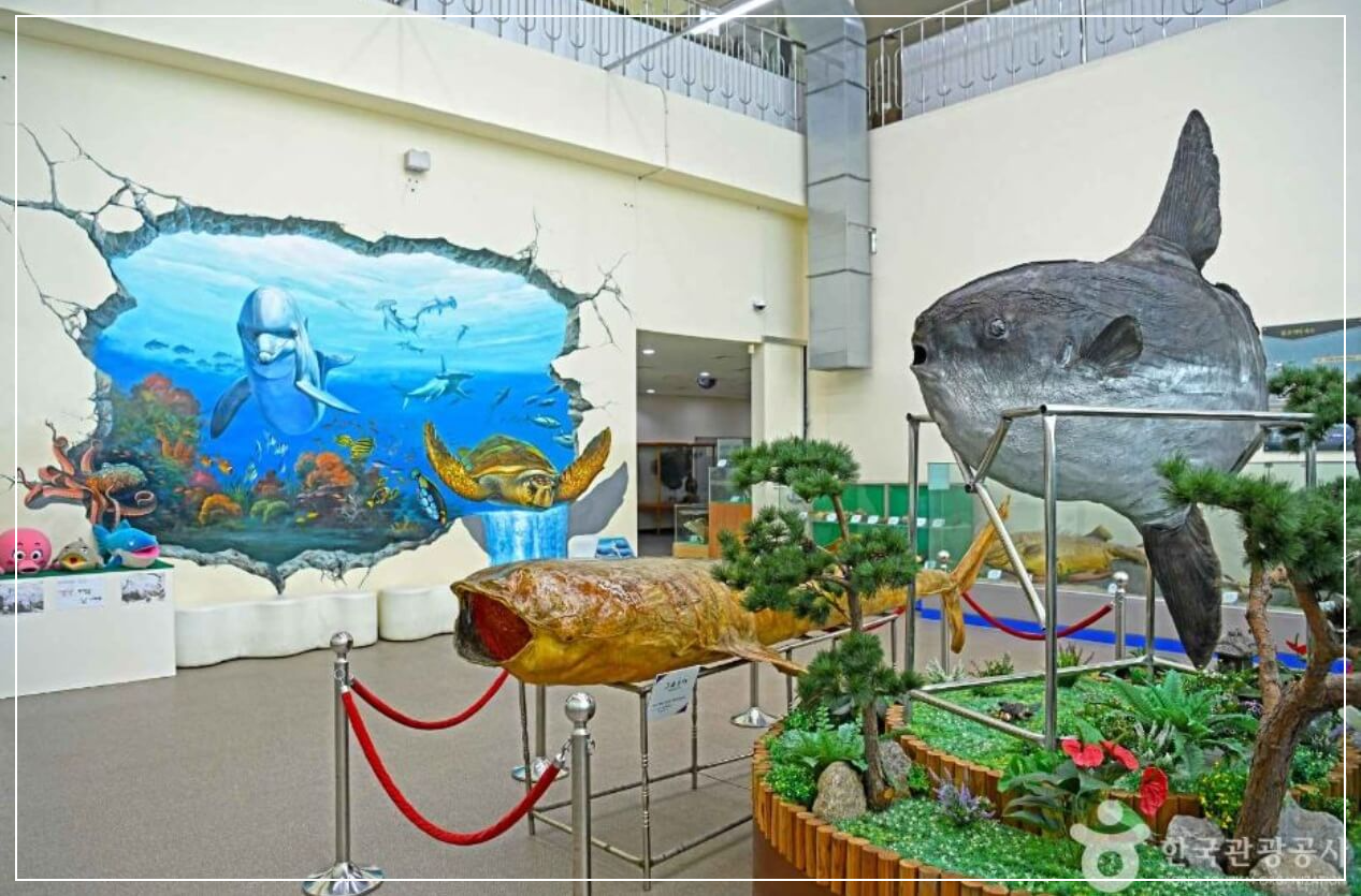 완도 가볼만한곳 베스트10 완도 어촌민속전시관