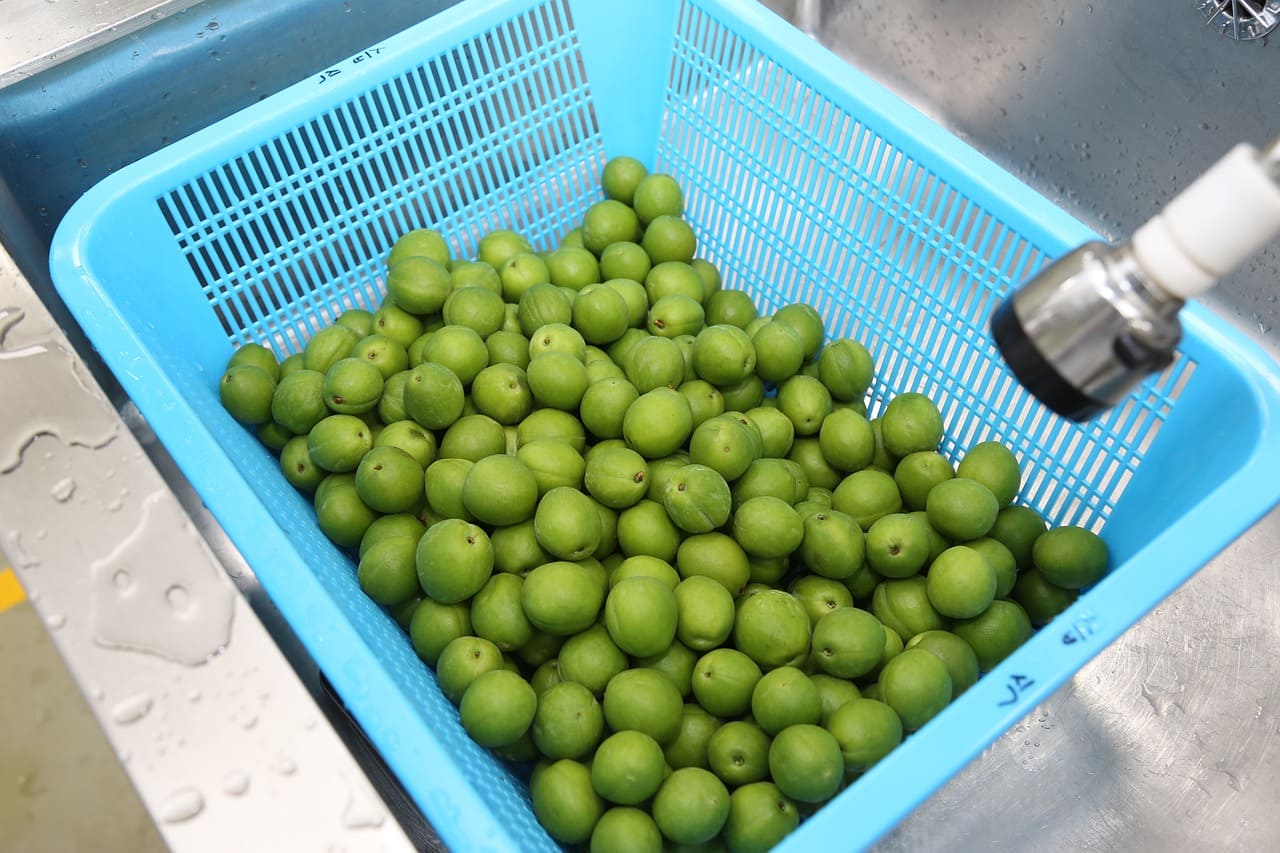 매실씨빼기 매실씨제거 매실씨빼는법 4가지